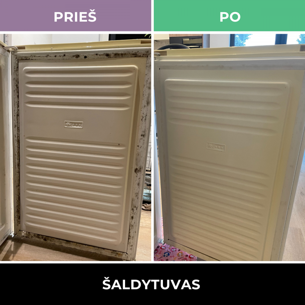pelėsis šaldytuve pro7